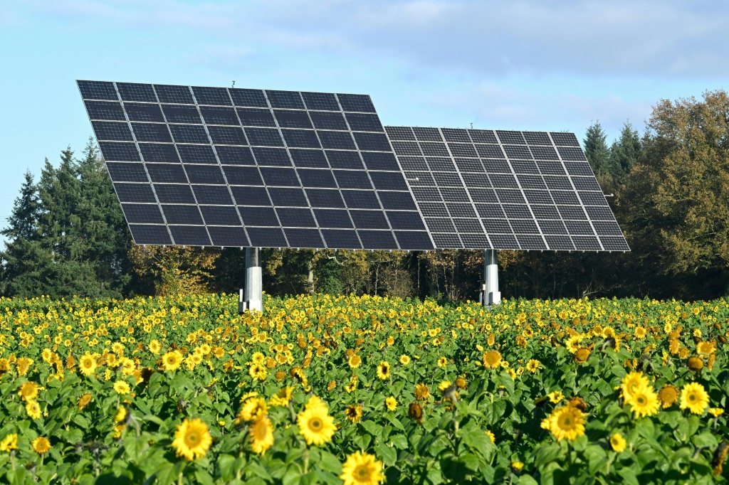 urn_newsml_afp.com_20230131_917a51b6-2b3f-4f28-a1a5-f5d4770d4b23_ipad