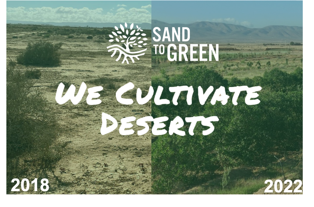 sand-to-green-low