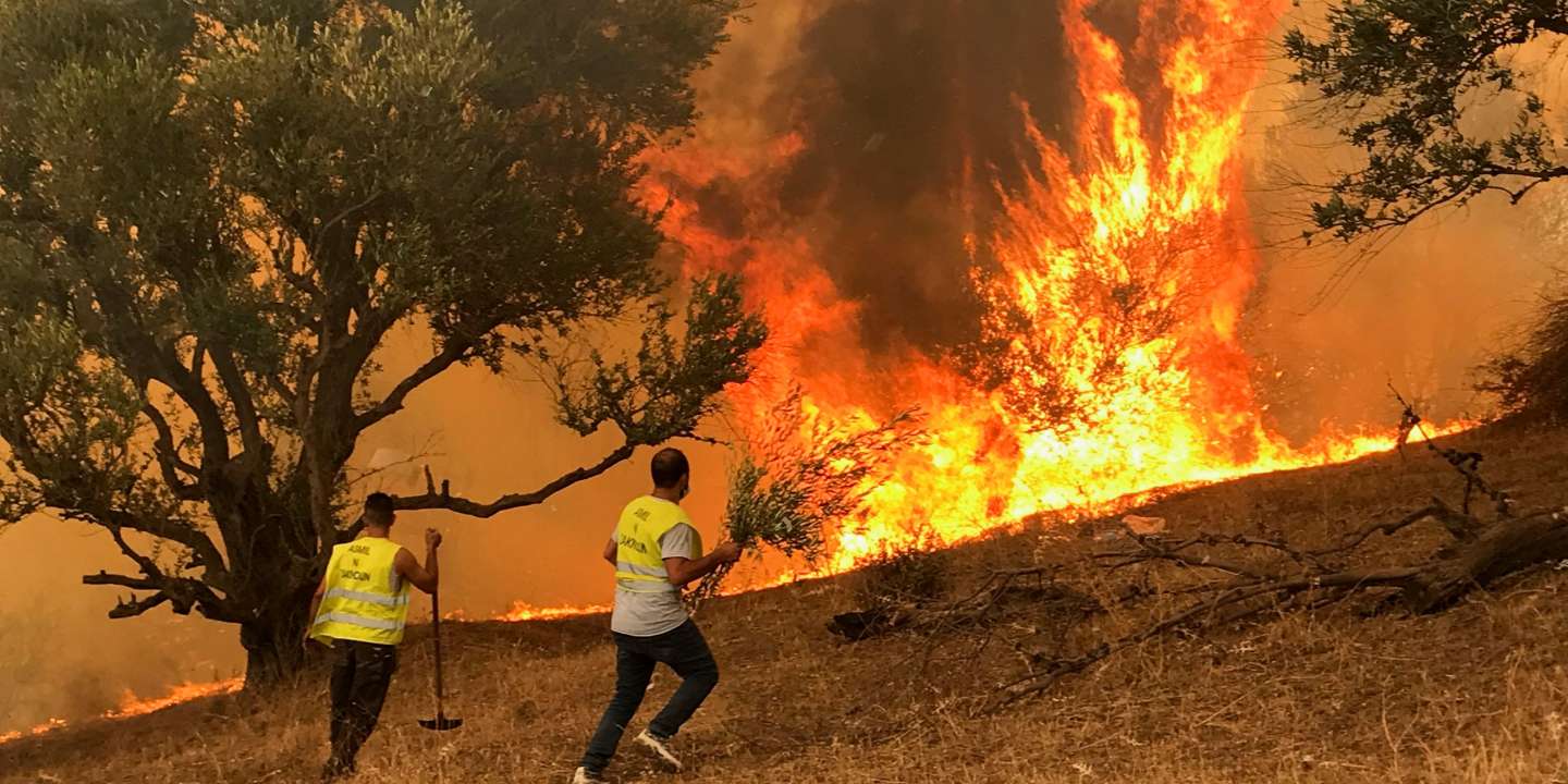 feux de forêt en Algérie