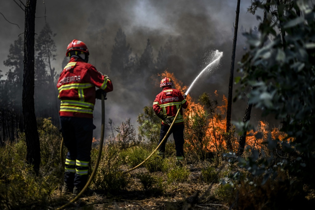incendie feu de forêt