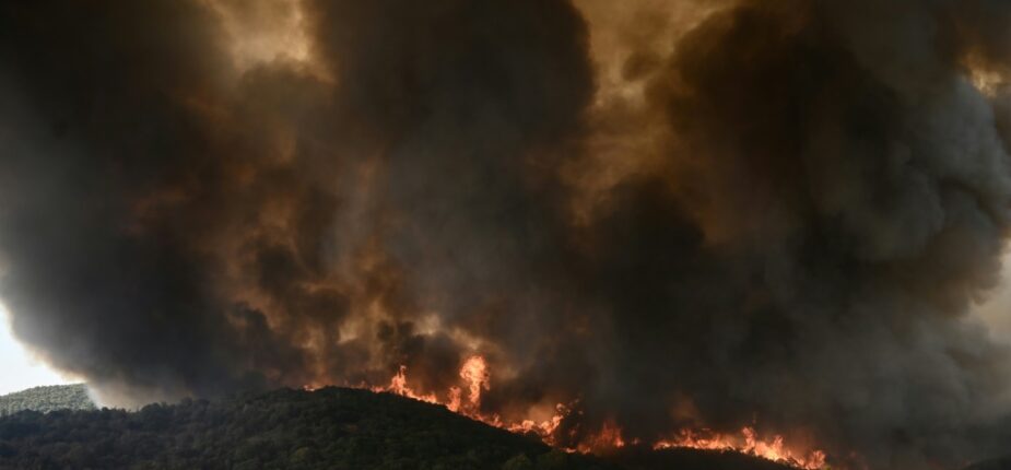 Un incendie de forêt près d'Alexandroupoli, dans le nord de la Grèce, le 23 août 2023