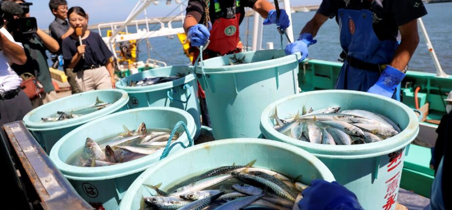 Des pêcheurs déchargent leur pêche au port de Matsukawaura, le 1er septembre 2023 à Soma, une semaine après que les eaux traitées de la centrale nucléaire de Fukushima Daiichi ont été rejetées dans l'océan