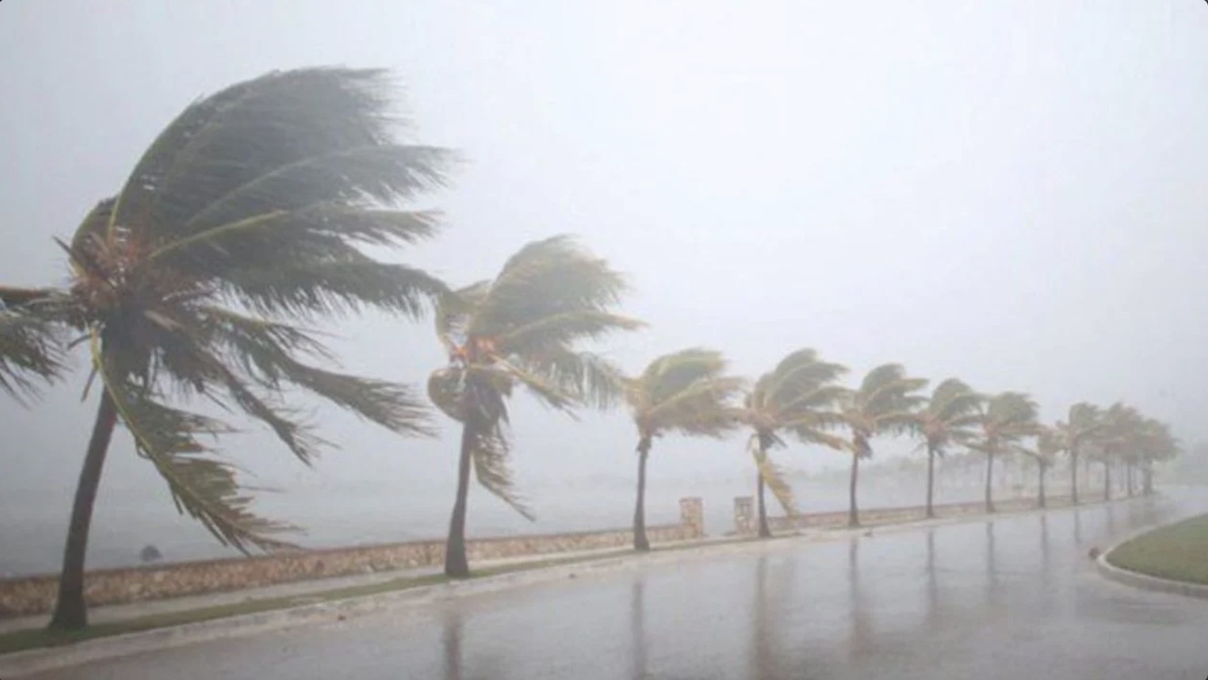 météo rafales de vent