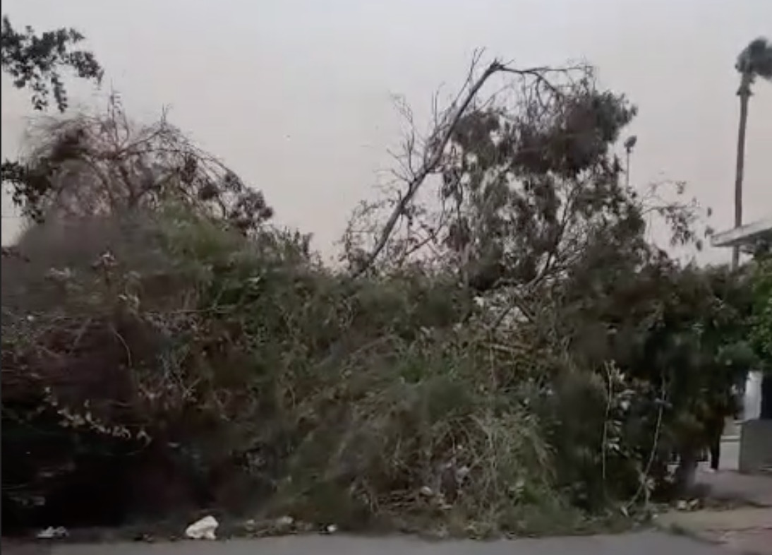 Capture d’écran 2023-10-23 à 14.54.37