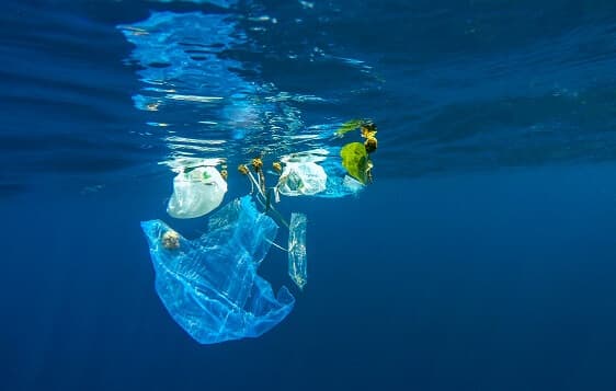 Sustainability at the center of the 2024 edition of the International Fisheries Industry Forum in Morocco