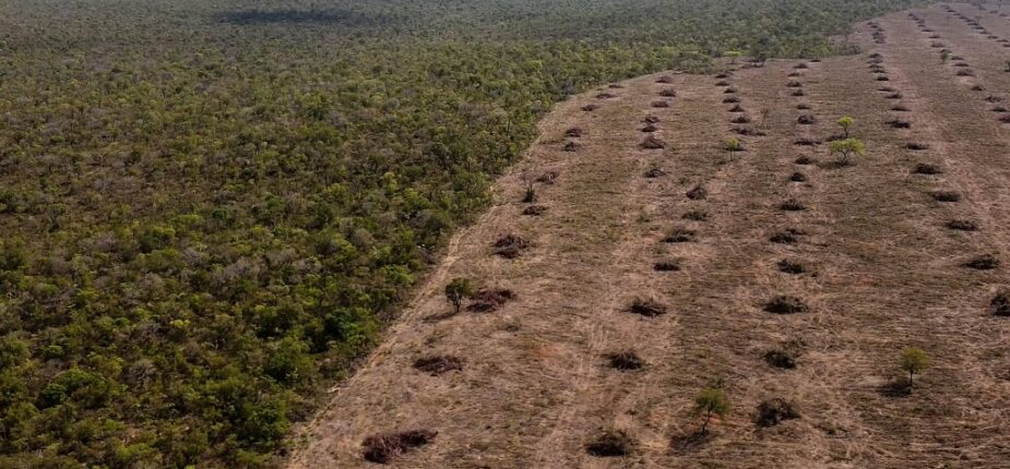 Vue aérienne de la savane du Cerrado, touchée par la déforestation, le 25 septembre 2023 à San Desiderio, dans le centre-est du Brésil