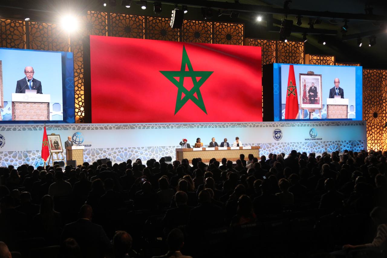 WhatsApp Image 2023-10-13 at 09.39.52