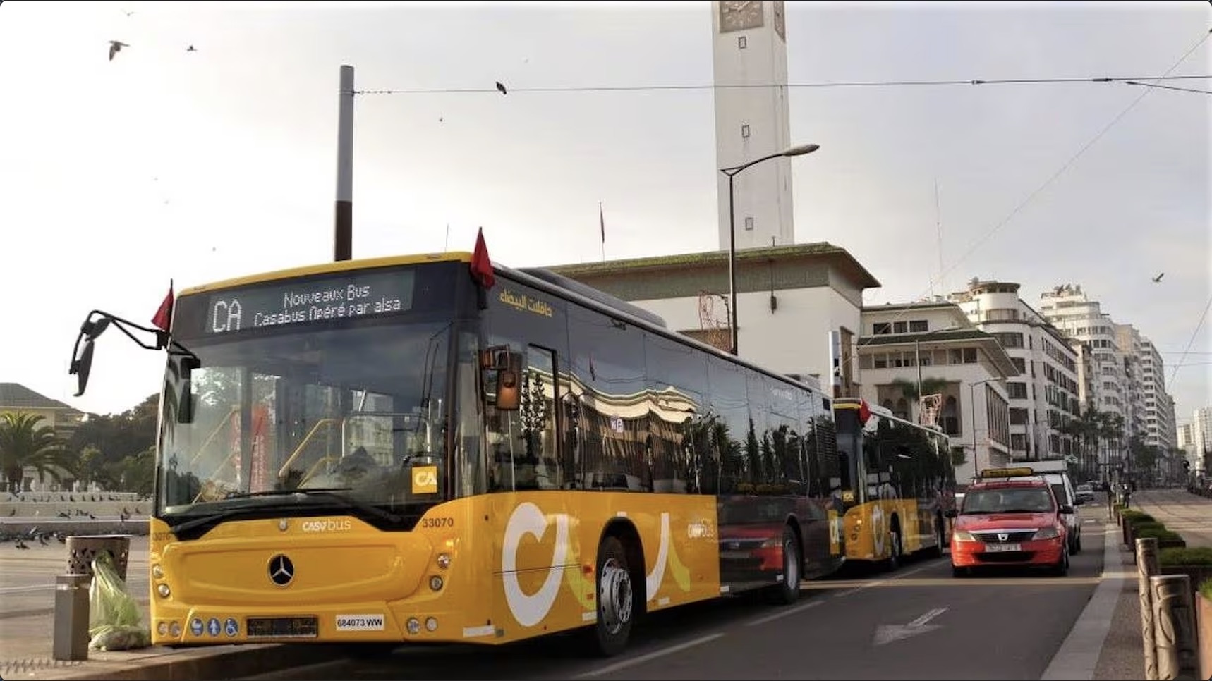 Transport urbain bus casablanca