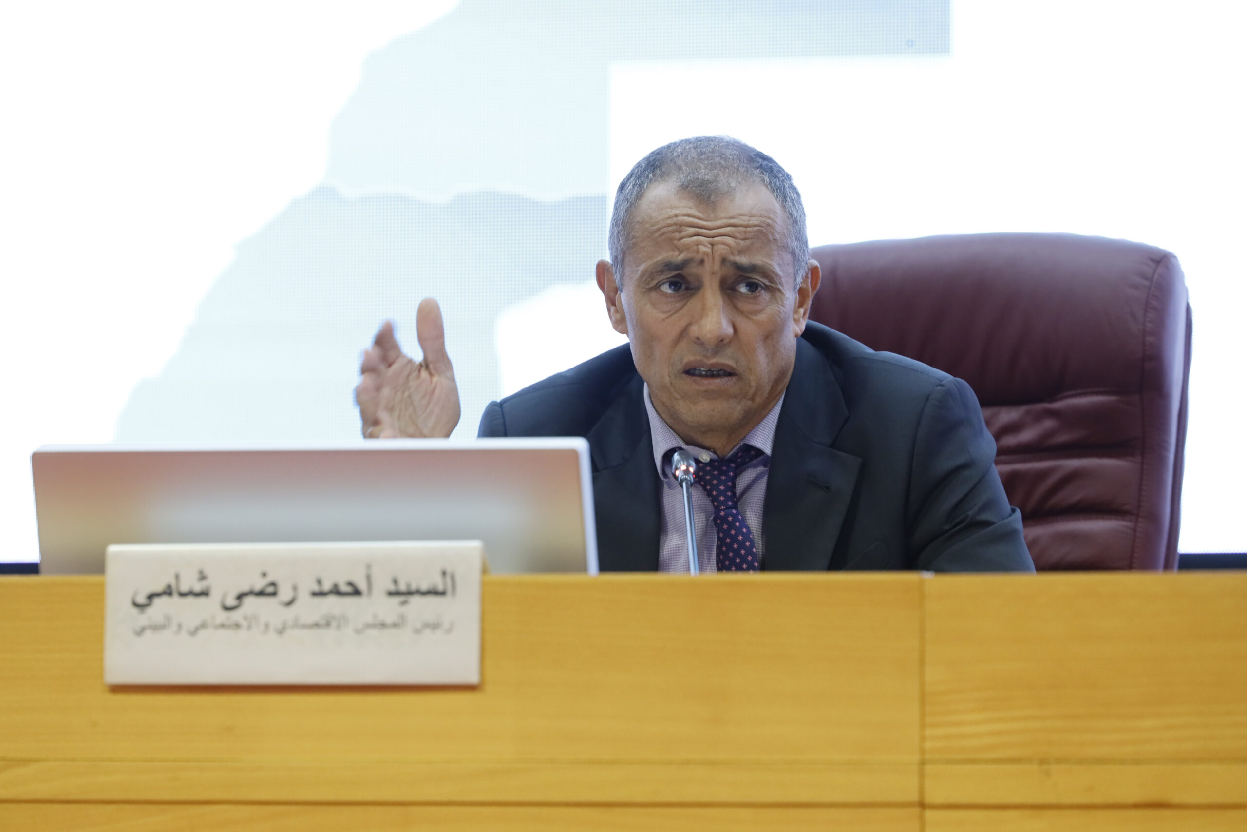 Ahmed Reda Chami CESE