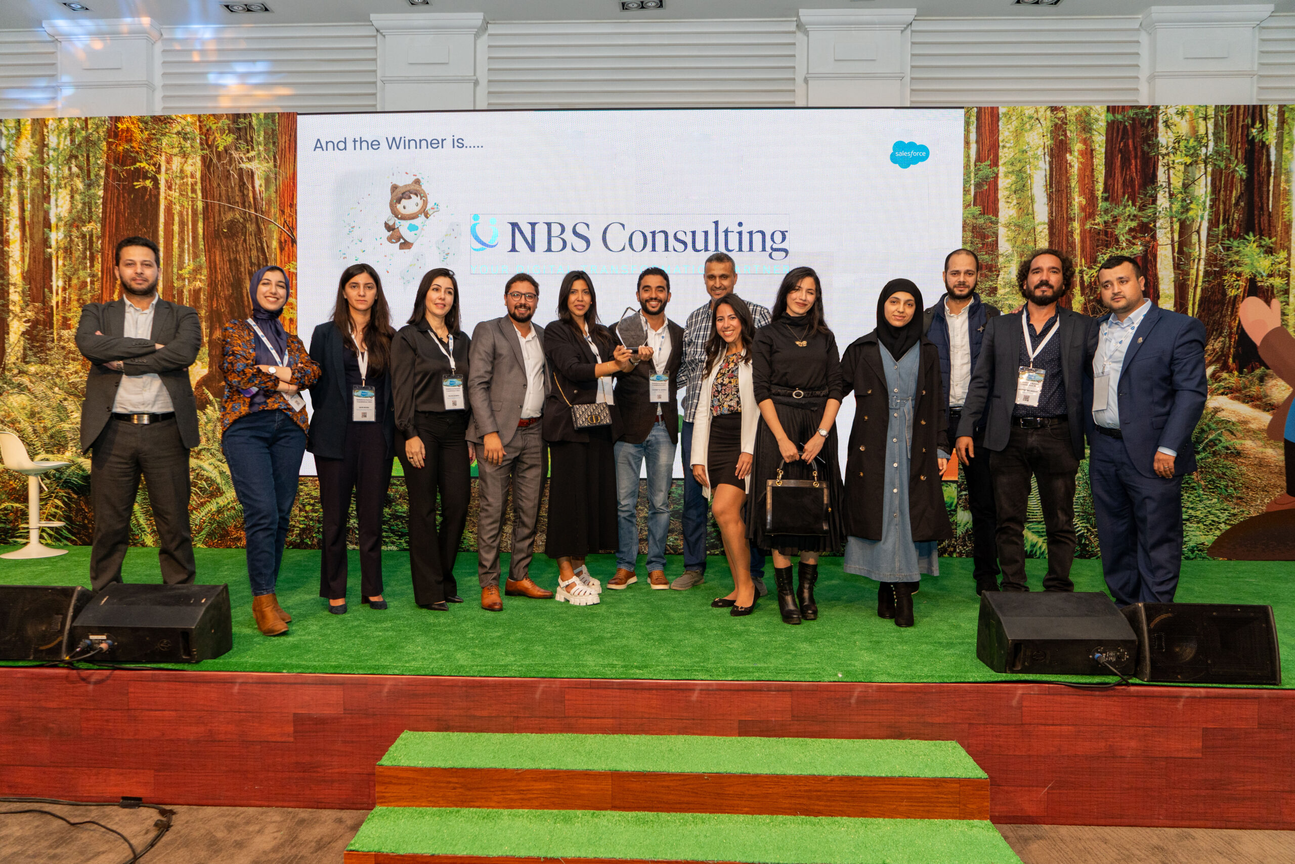 NBS Consulting Salesforce Partner