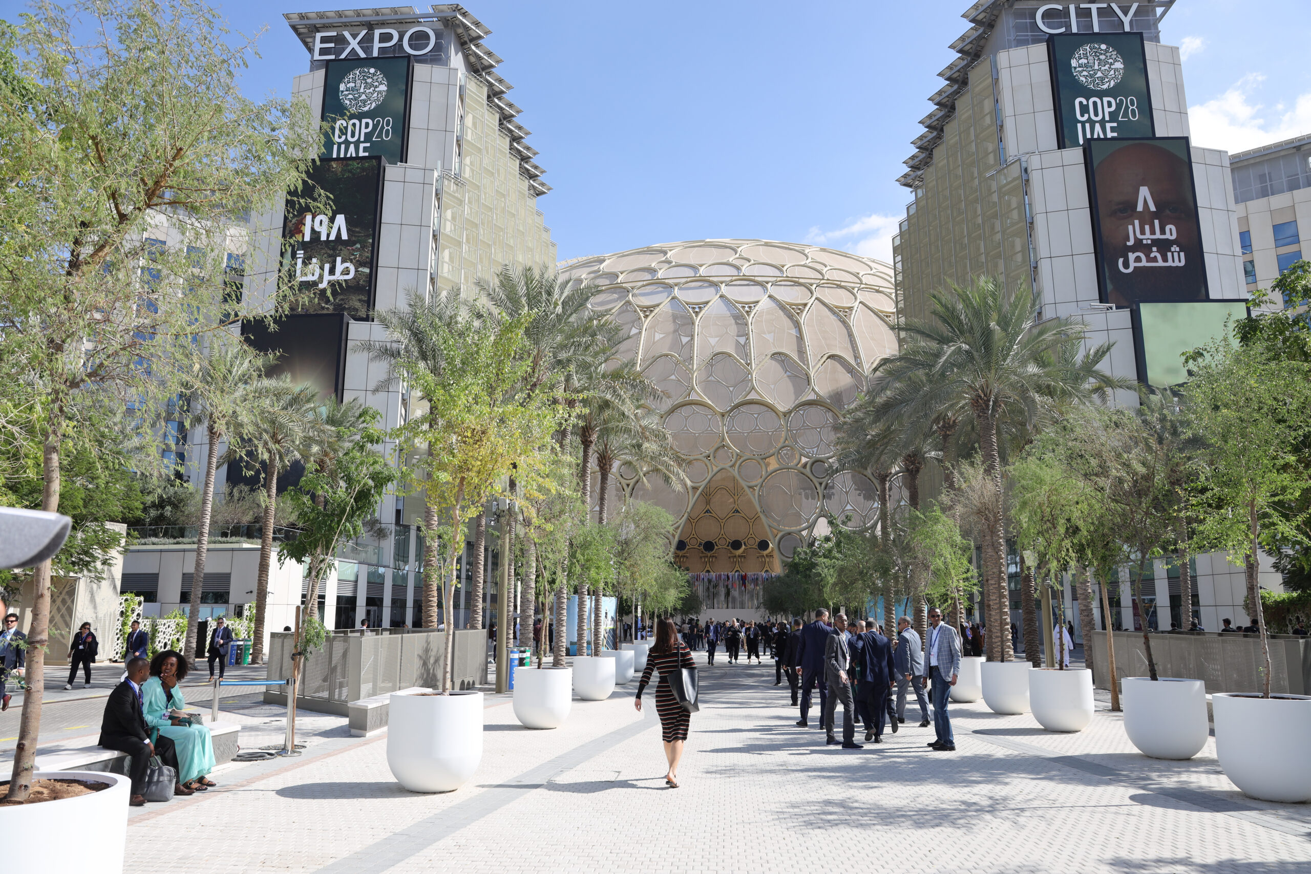 PHOTO_30112023_160117013601155463