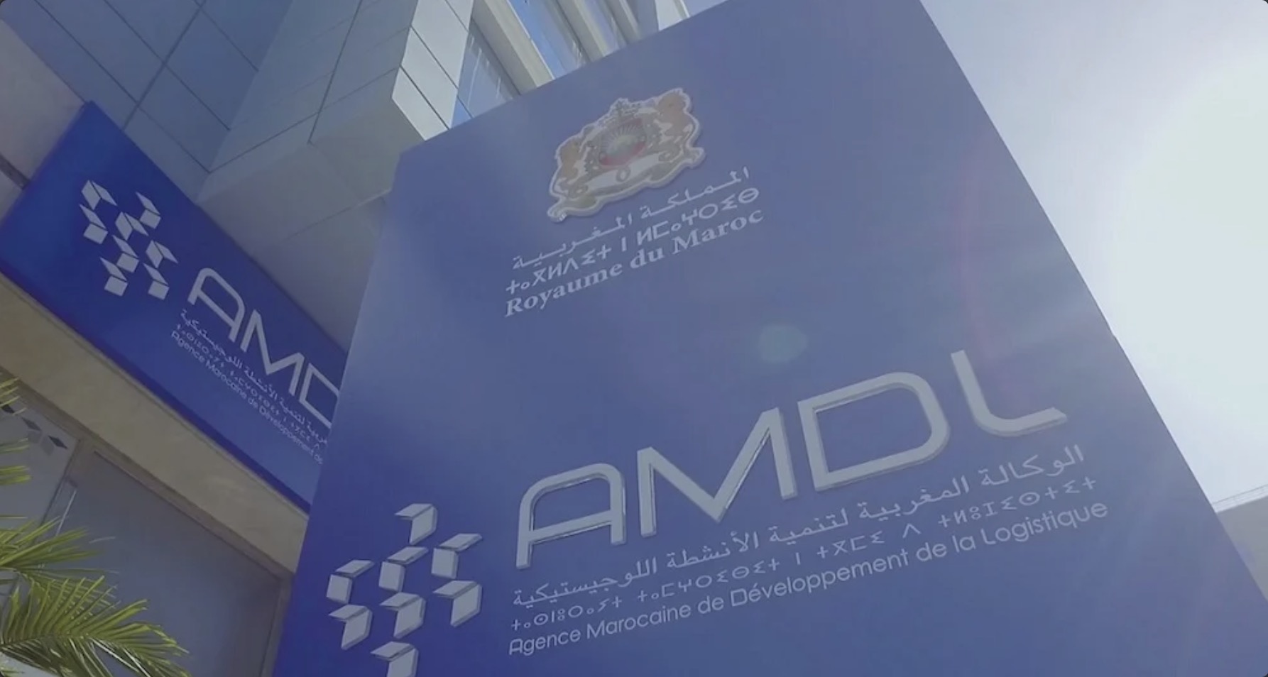 AMDL