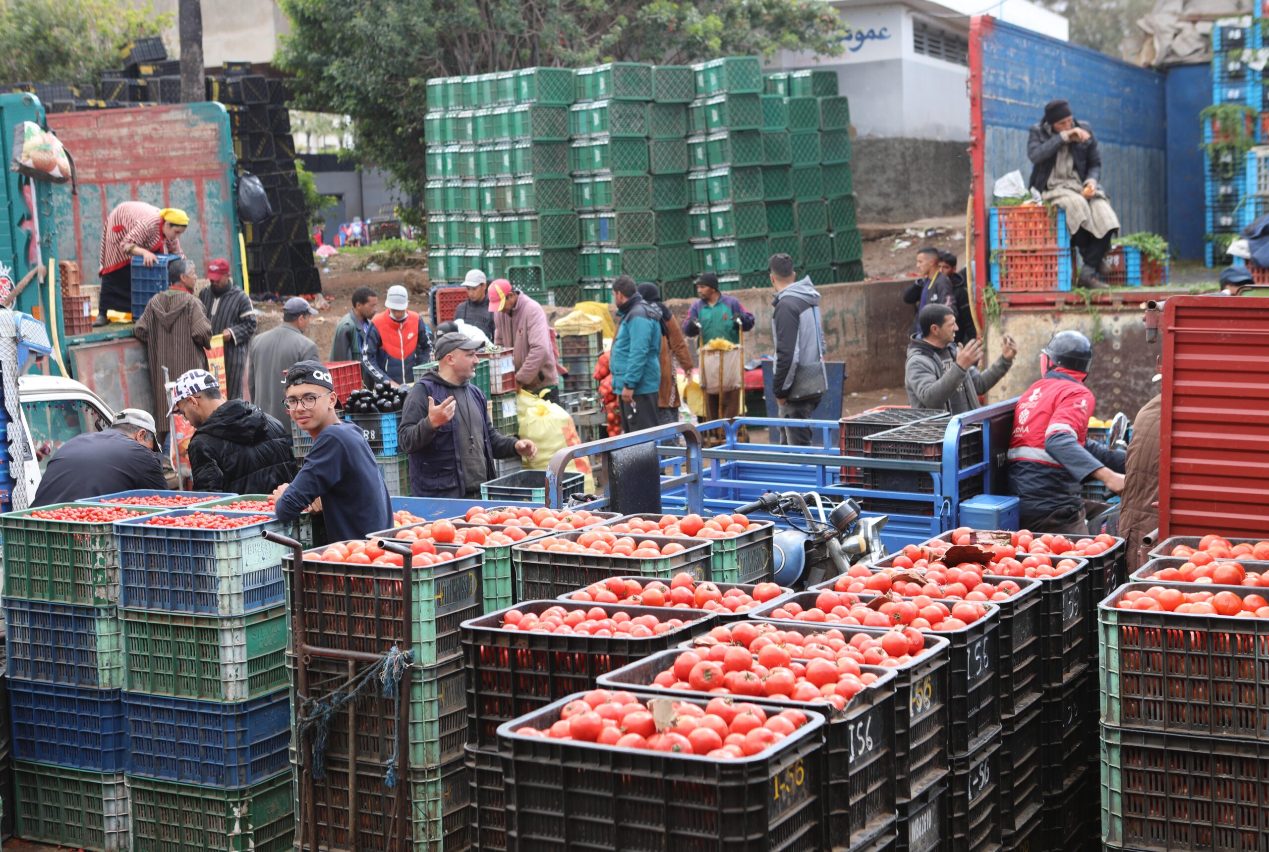 Open Discussion board: Will aggregation be the best resolution to place an finish to the dysfunctions of the wholesale fruit and vegetable markets and the plethora of intermediaries?