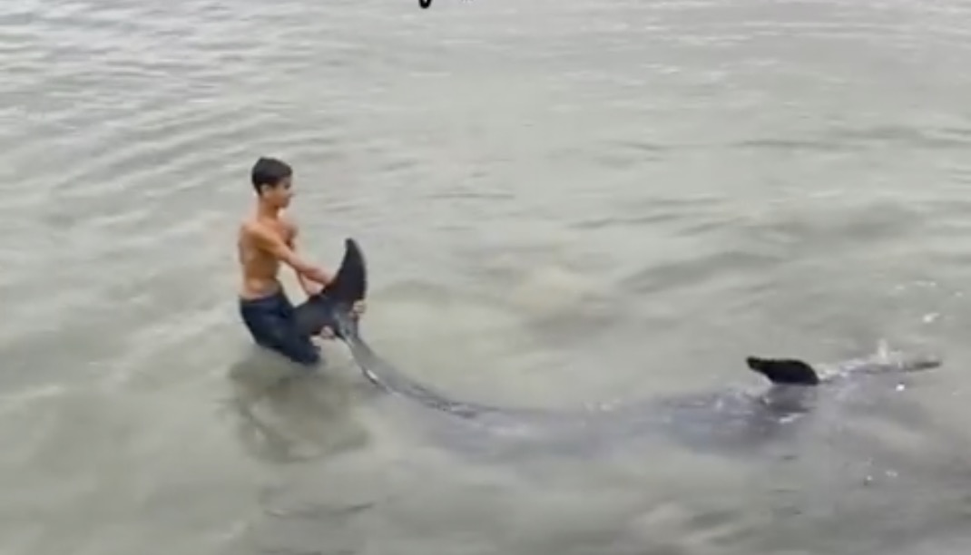 Capture d’écran 2024-06-07 à 14.59.41