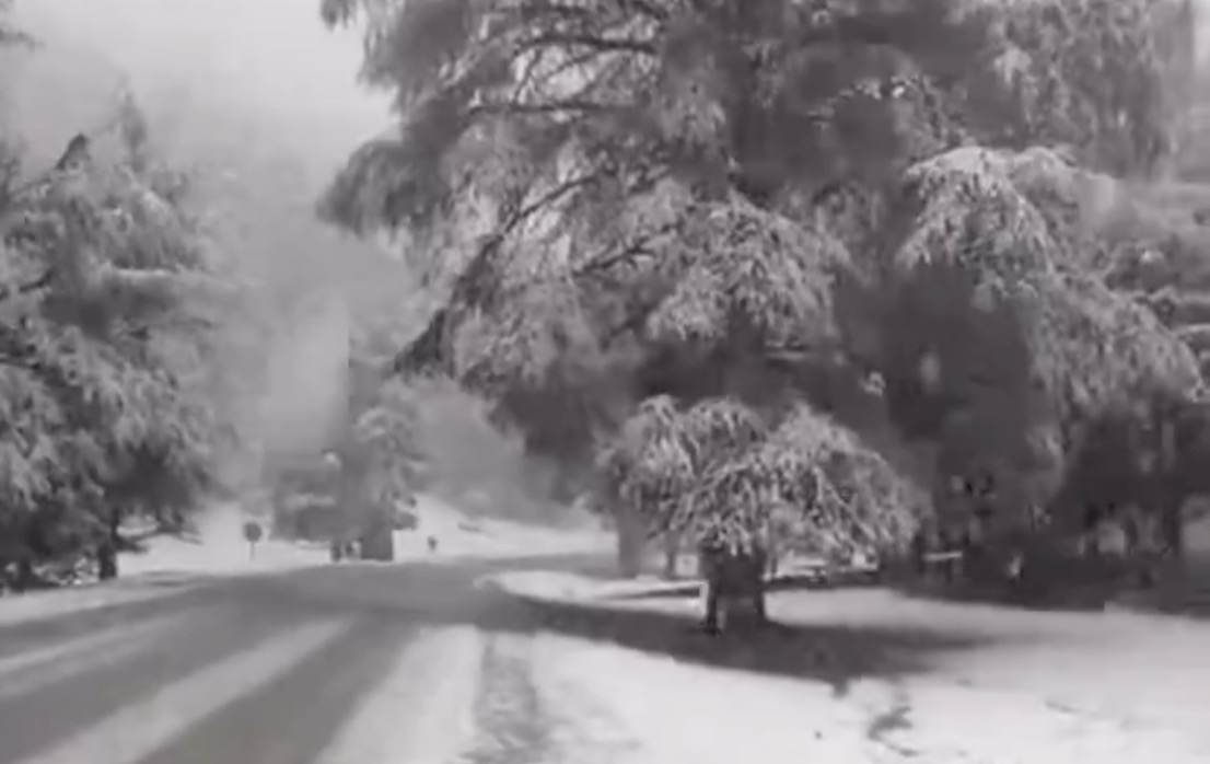 Vidéo: La magie de l’hiver s’installe entre Azrou et Ifrane !