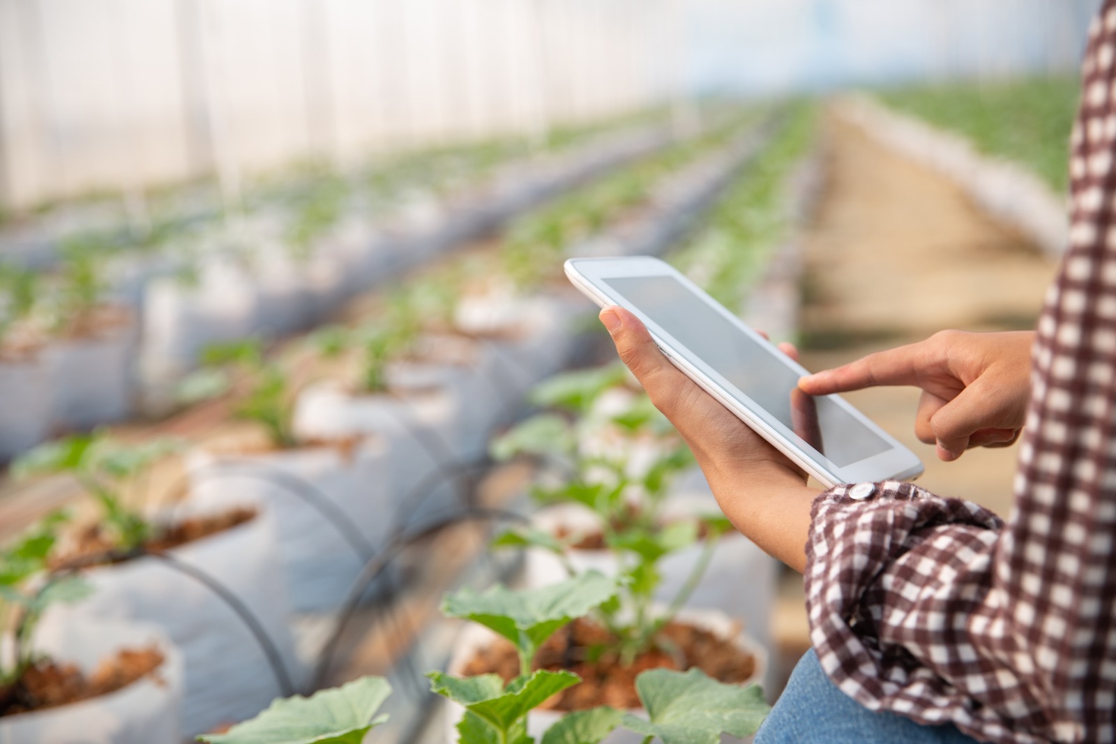 2ème édition du programme Tech4Farmers, soutenir l’Agritech au Maroc