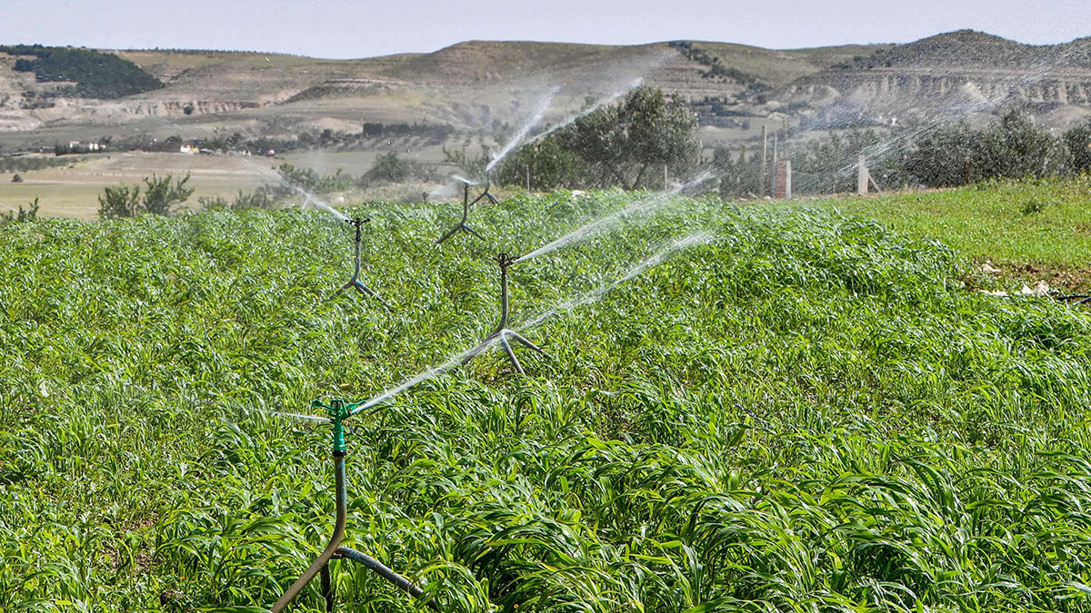 irrigation agricole