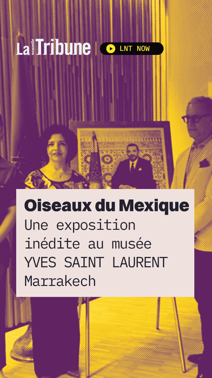 PHOTO-2025-04-04-20-44-49