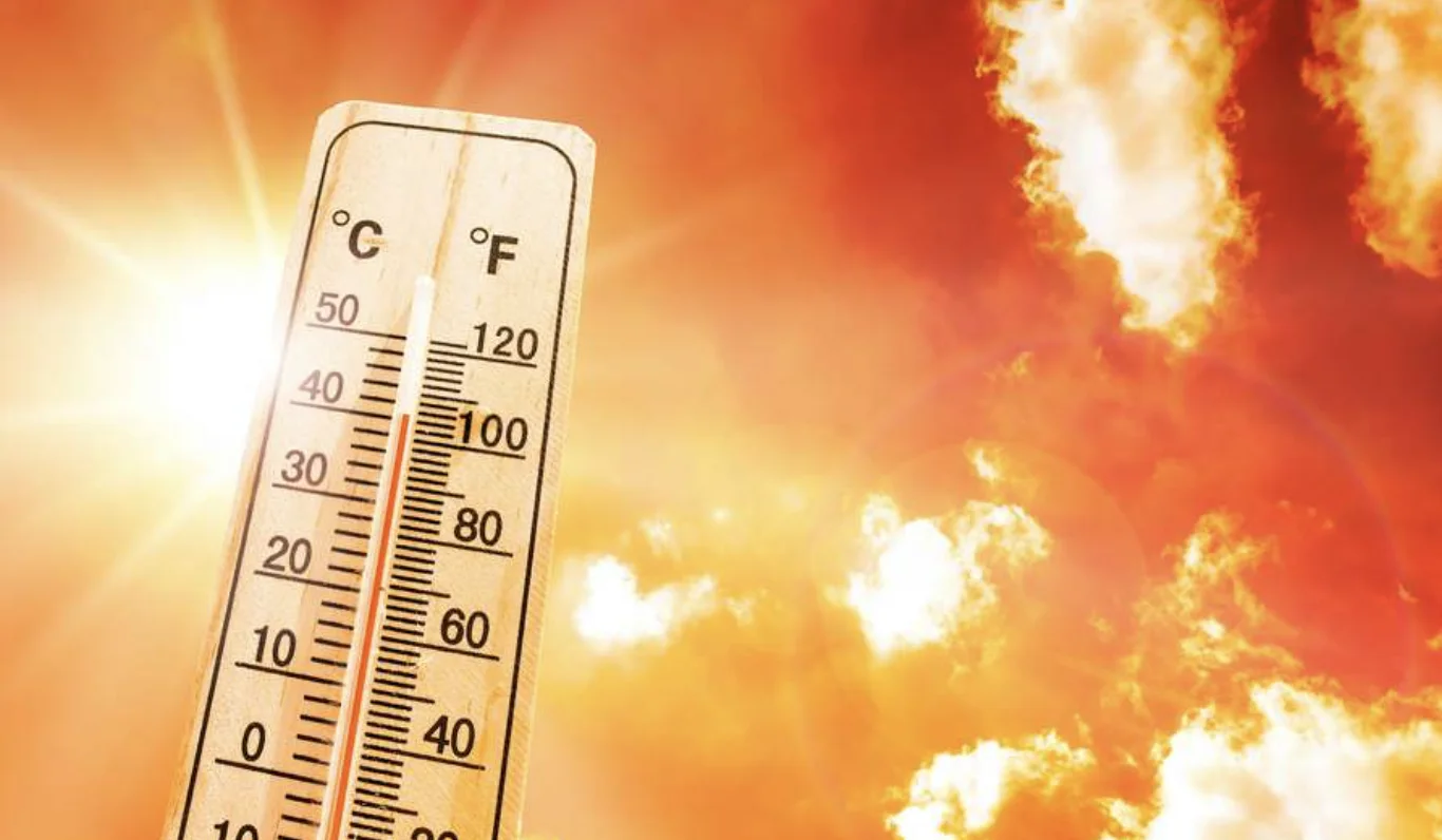 chaleur canicule maroc