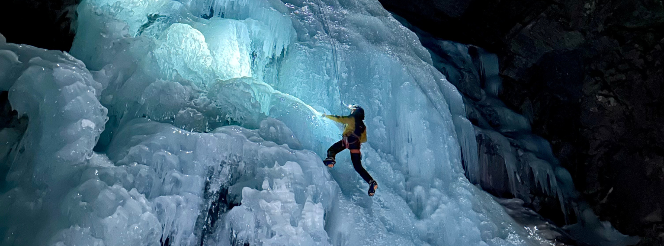 Image Article Site Web (4)