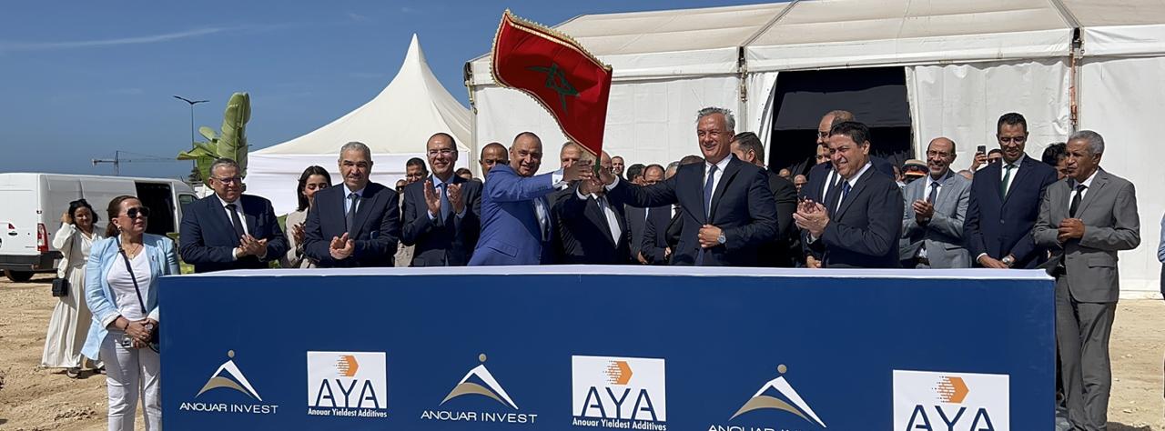 WhatsApp Image 2025-09-11 at 10.40.16