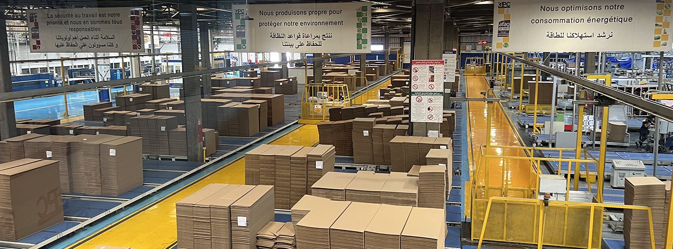 WhatsApp Image 2025-09-12 at 11.49.40