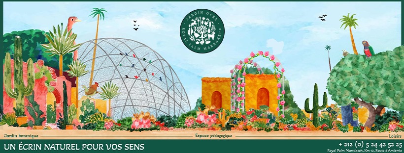 WhatsApp Image 2025-10-02 at 10.49.57