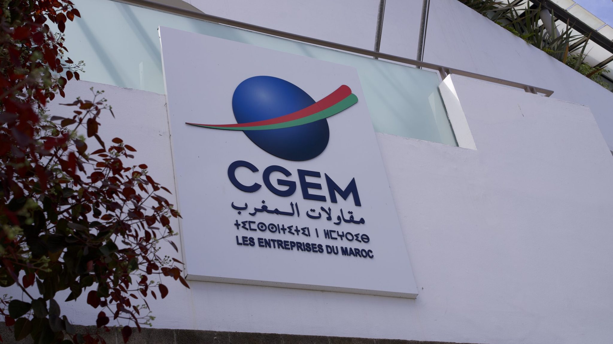 CGEM