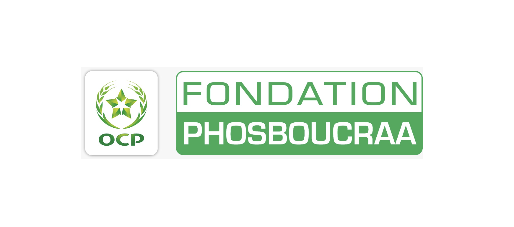 Fondation Phosboucraa