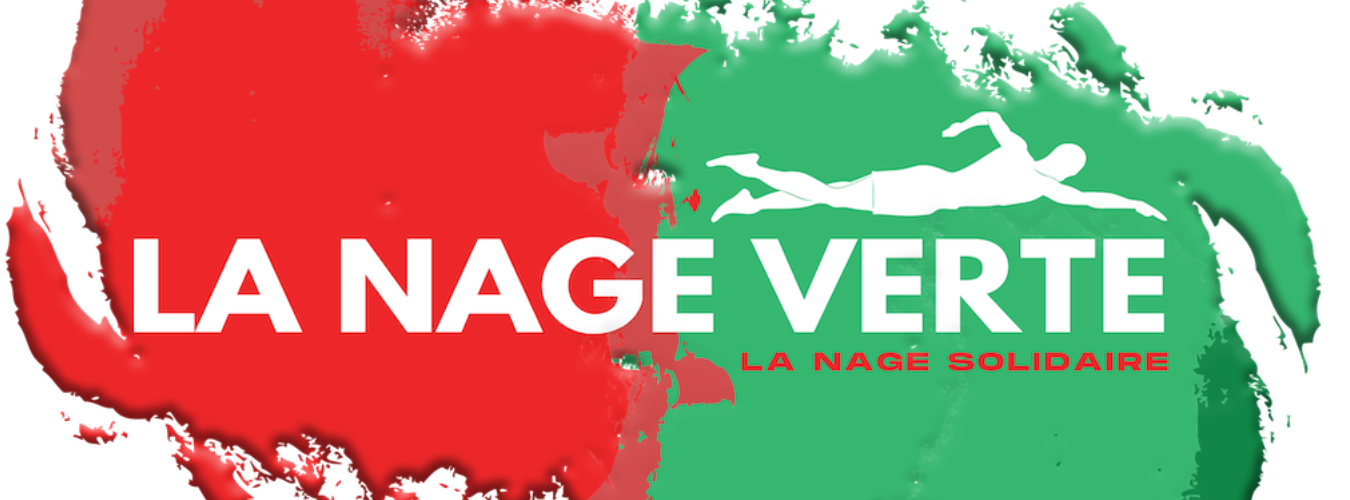 Image Article Site Web (22)