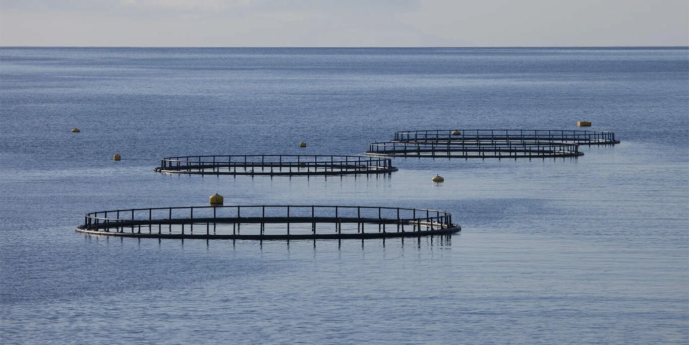 Poisson Aquaculture