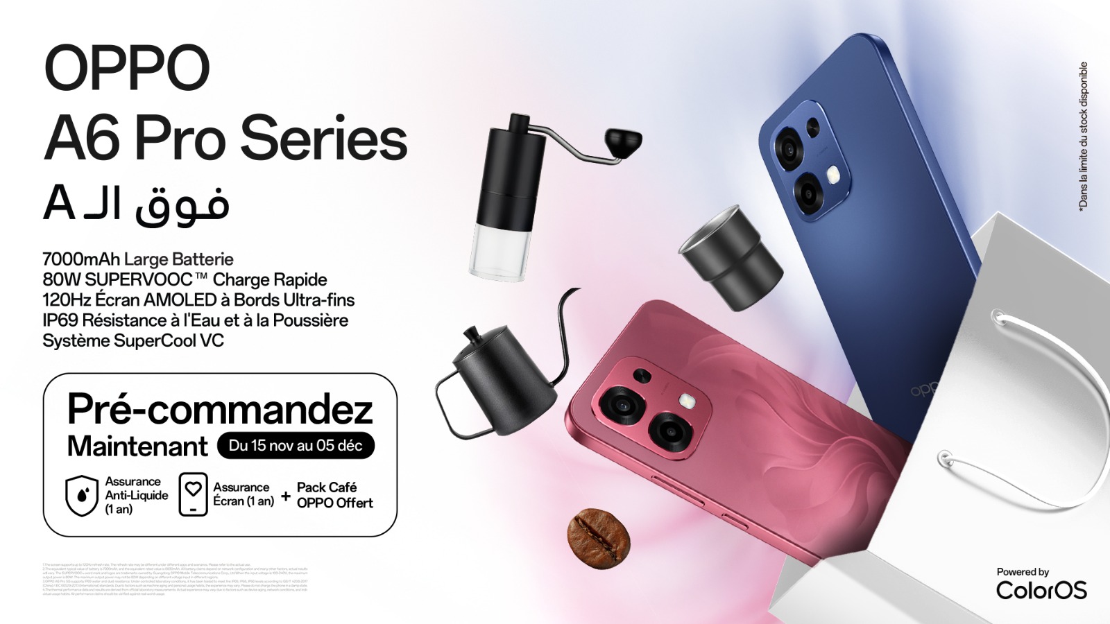 WhatsApp Image 2025-11-19 at 15.31.00