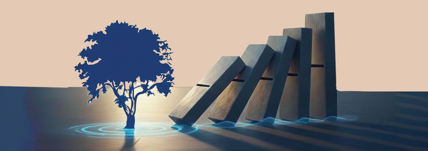 WhatsApp Image 2025-11-26 at 16.13.56