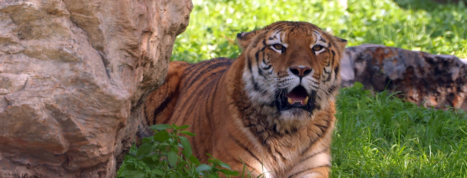 Capture d’écran 2025-12-30 102259