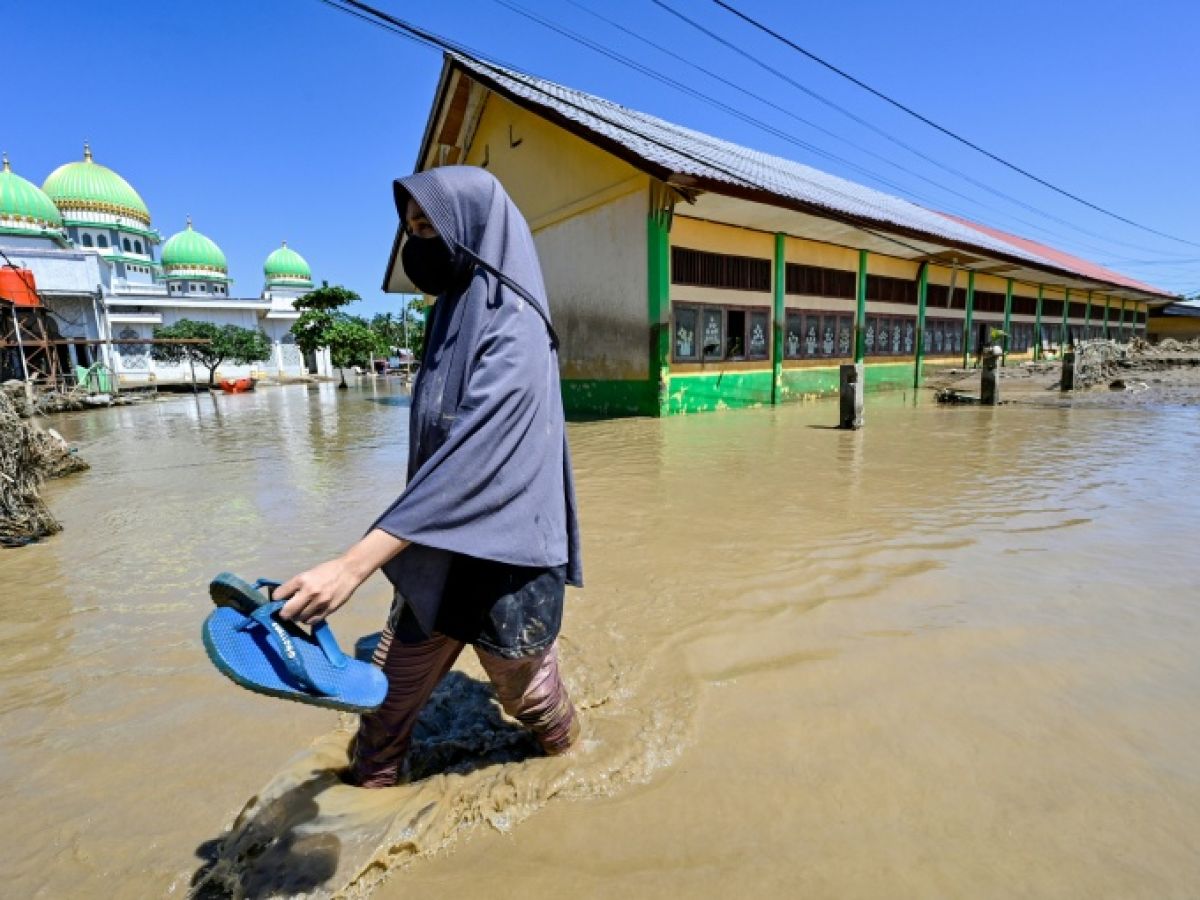 cover-r4x3w1200-692e7526e22b6-3fb31e6362b9e834cb63ce4f54ff0ef75128a153-jpg