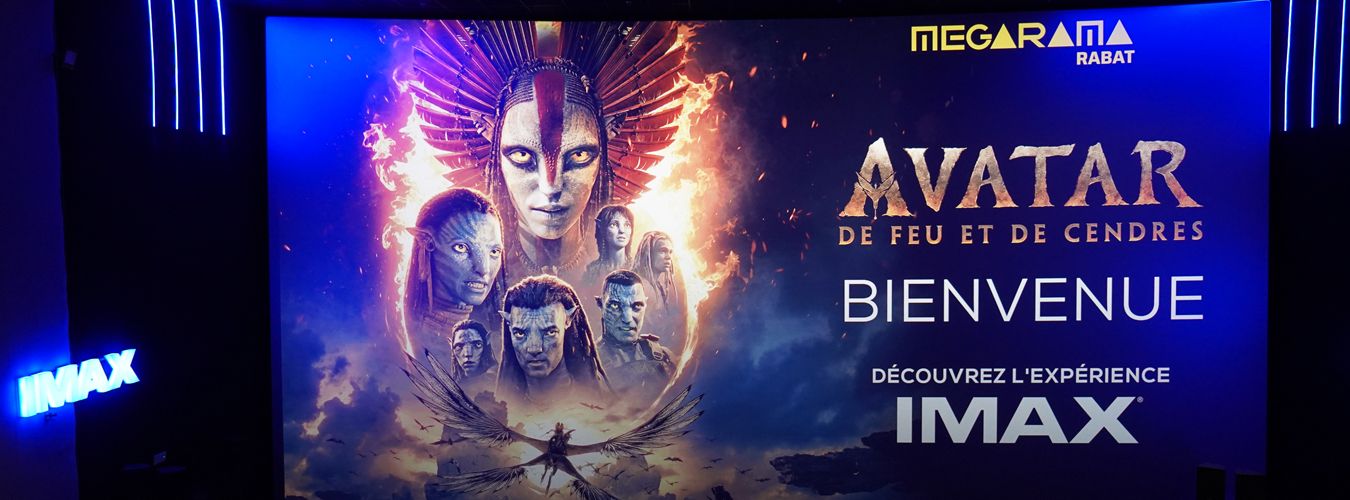 WhatsApp Image 2025-12-19 at 11.52.38