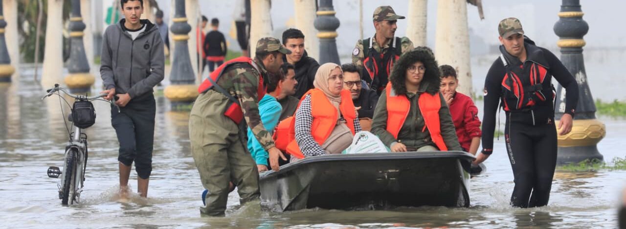 WhatsApp Image 2026-01-31 at 15.58.49