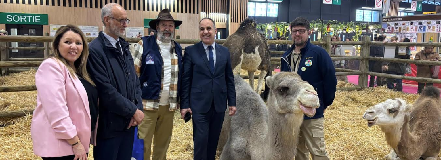 Capture d’écran 2026-03-04 114204