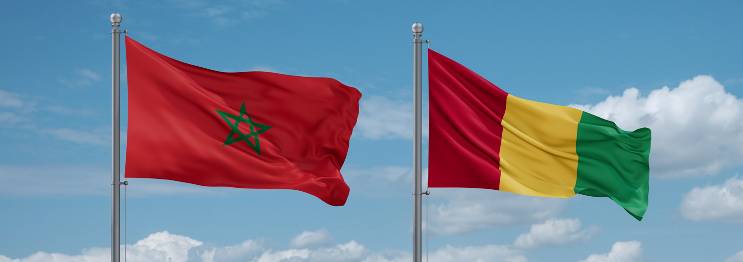 maroc guinée drapeaux