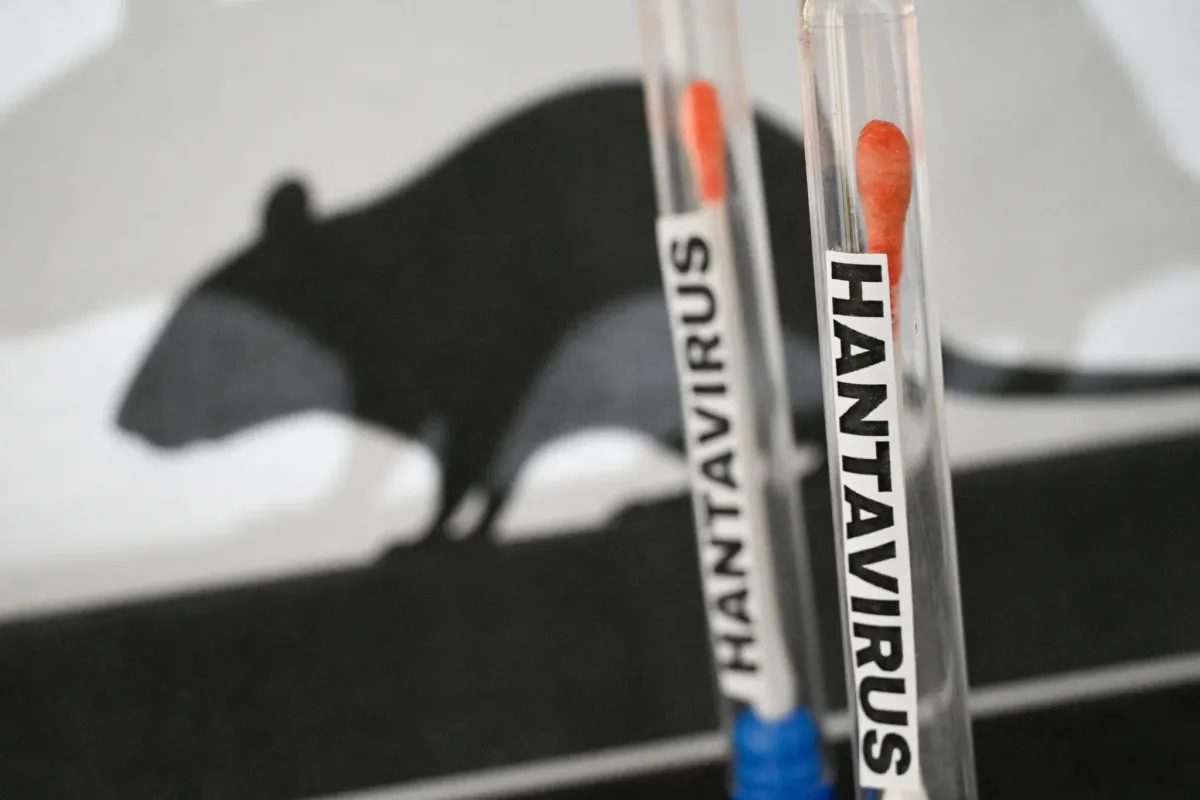 Hantavirus