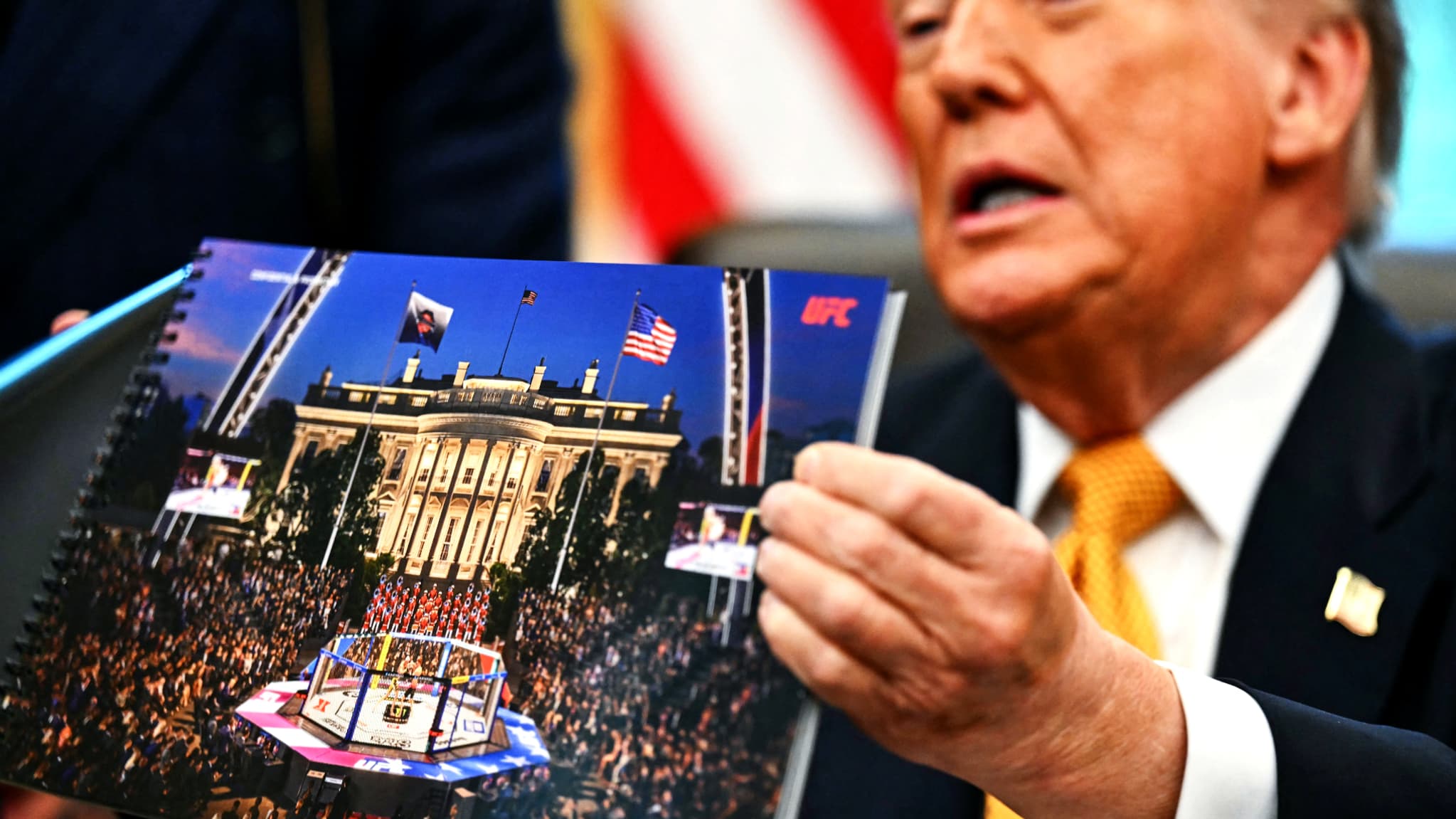 trump ufc