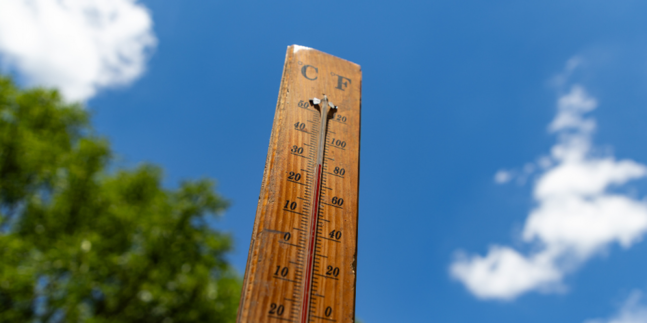 chaleur canicule
