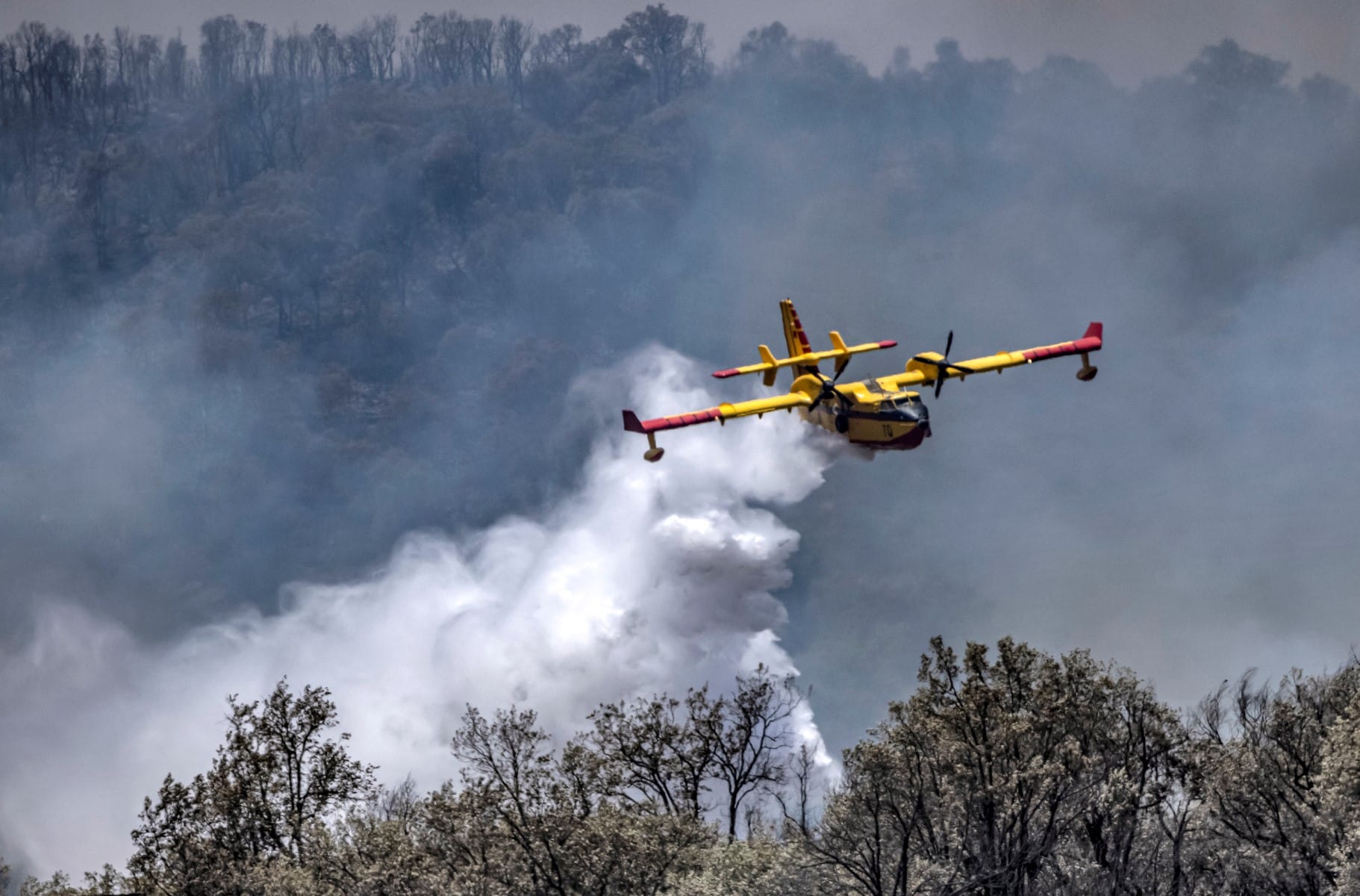 canadair incendie à Larache