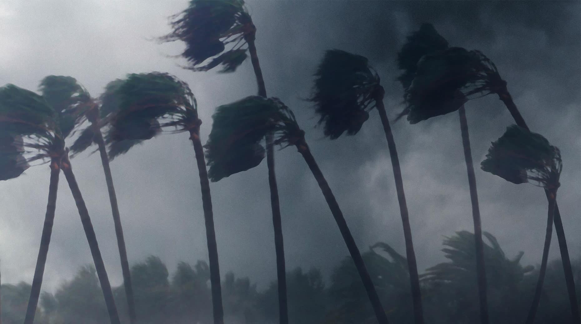 obligations catastrophes tempête